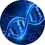 Генетическая экспертиза СПб или экспертиза ДНК